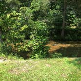 Review photo of Cedar Rock Campground by Kirsten J., August 1, 2020