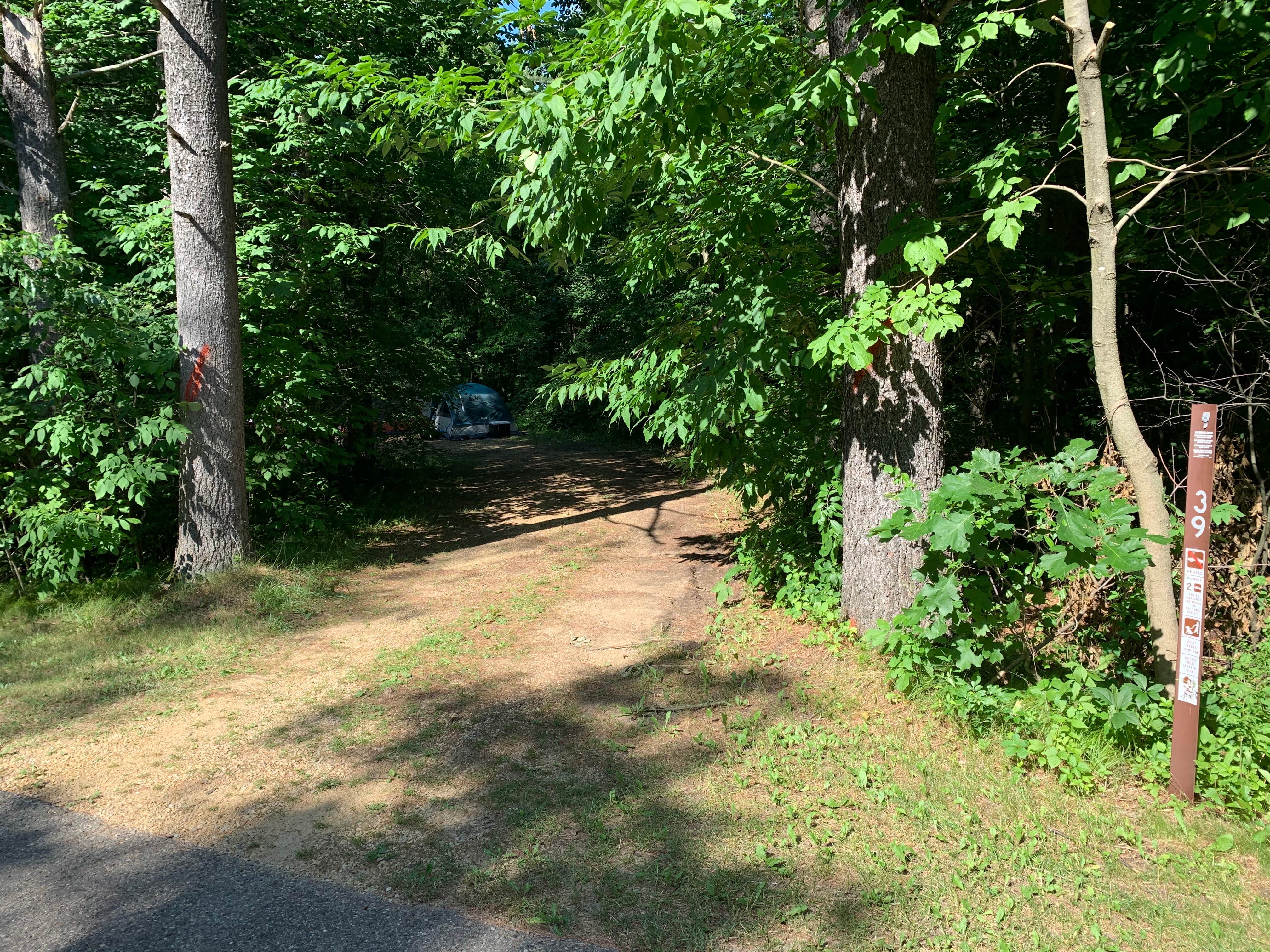 Camper-submitted photo at Rocky Arbor State Park Campground near Wisconsin Dells, WI