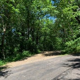 Review photo of Rocky Arbor State Park Campground by Scott M., July 29, 2020