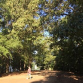 Review photo of Natchez State Park Campground by Cat R., August 1, 2020