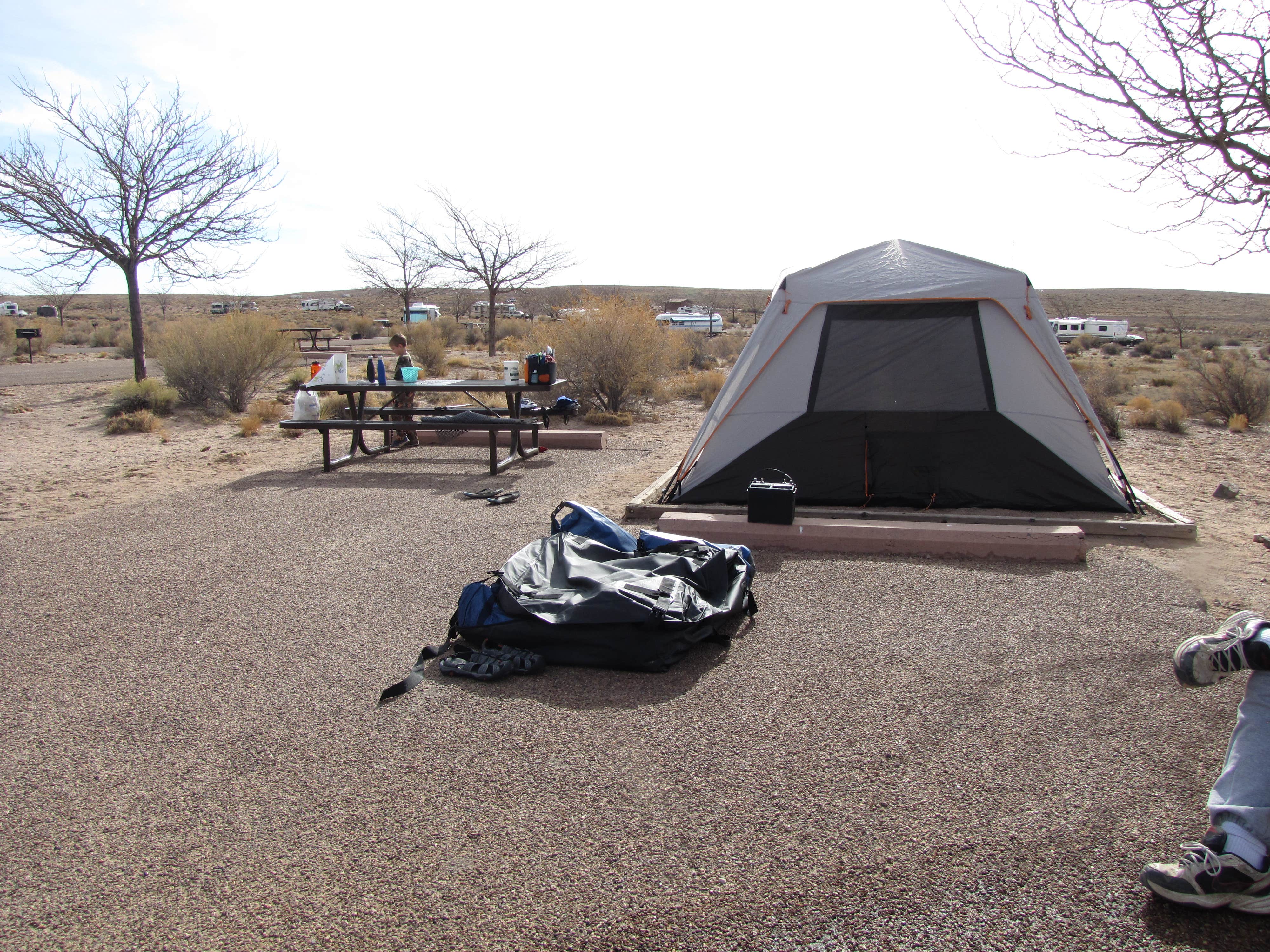 Paula W.'s photo at Homolovi State Park Campground near Petrified Forest Natl Park, AZ