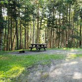 Review photo of Aroostook State Park Campground by Jean C., August 1, 2020