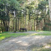 Review photo of Aroostook State Park Campground by Jean C., August 1, 2020