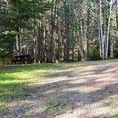 Review photo of Aroostook State Park Campground by Jean C., August 1, 2020