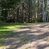 Review photo of Aroostook State Park Campground by Jean C., August 1, 2020