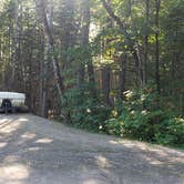 Review photo of Aroostook State Park Campground by Jean C., August 1, 2020