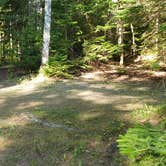 Review photo of Aroostook State Park Campground by Jean C., August 1, 2020