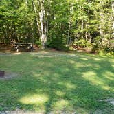 Review photo of Aroostook State Park Campground by Jean C., August 1, 2020