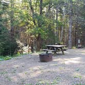 Review photo of Aroostook State Park Campground by Jean C., August 1, 2020