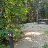 Review photo of Aroostook State Park Campground by Jean C., August 1, 2020