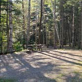 Review photo of Aroostook State Park Campground by Jean C., August 1, 2020