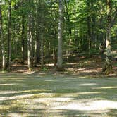 Review photo of Aroostook State Park Campground by Jean C., August 1, 2020