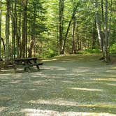 Review photo of Aroostook State Park Campground by Jean C., August 1, 2020