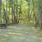 Review photo of Aroostook State Park Campground by Jean C., August 1, 2020