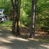 Review photo of Aroostook State Park Campground by Jean C., August 1, 2020