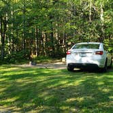 Review photo of Aroostook State Park Campground by Jean C., August 1, 2020