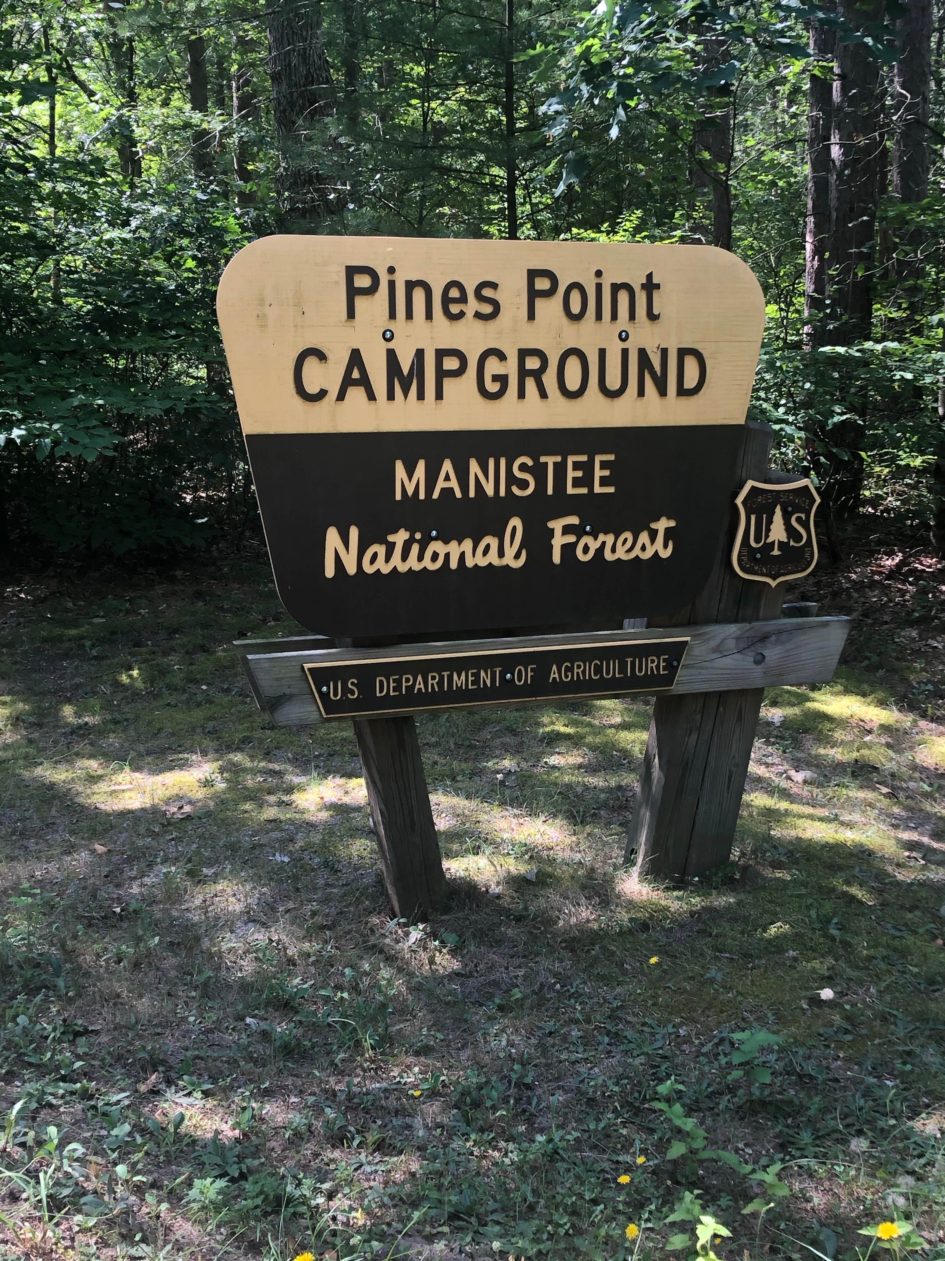 Camper submitted image from Pines Point Campground - 2