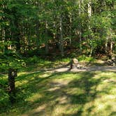 Review photo of Aroostook State Park Campground by Jean C., August 1, 2020