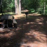 Review photo of Pines Point Campground by Shelly B., August 1, 2020