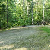 Review photo of Aroostook State Park Campground by Jean C., August 1, 2020