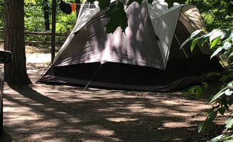 Shelly B.'s photo at Pines Point Campground near Fremont, MI