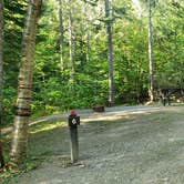 Review photo of Aroostook State Park Campground by Jean C., August 1, 2020