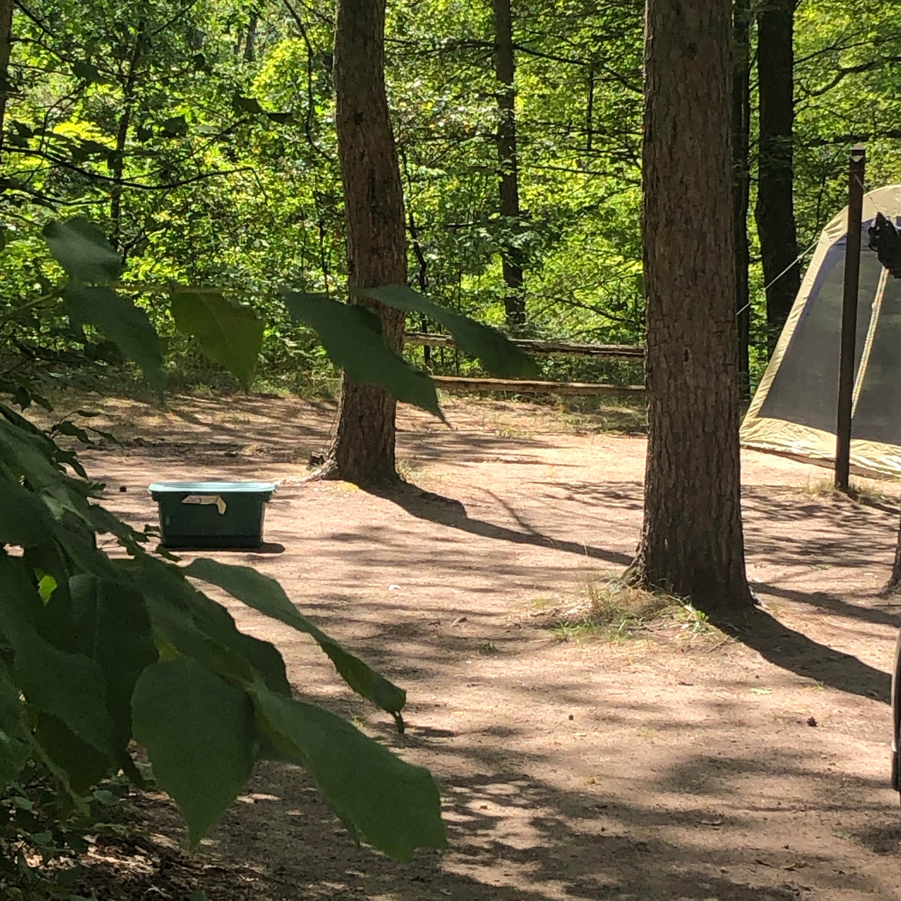 Shelly B.'s photo at Pines Point Campground near Fremont, MI