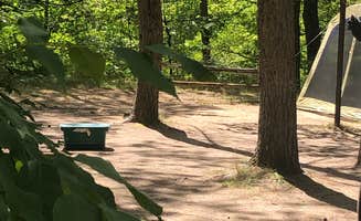 Shelly B.'s photo at Pines Point Campground near Fremont, MI