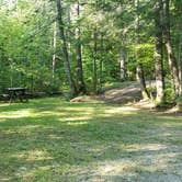 Review photo of Aroostook State Park Campground by Jean C., August 1, 2020