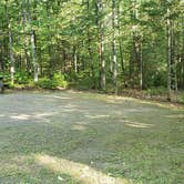 Review photo of Aroostook State Park Campground by Jean C., August 1, 2020