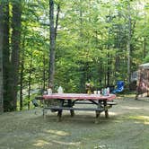 Review photo of Aroostook State Park Campground by Jean C., August 1, 2020