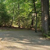 Review photo of Aroostook State Park Campground by Jean C., August 1, 2020