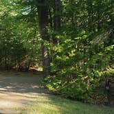 Review photo of Aroostook State Park Campground by Jean C., August 1, 2020