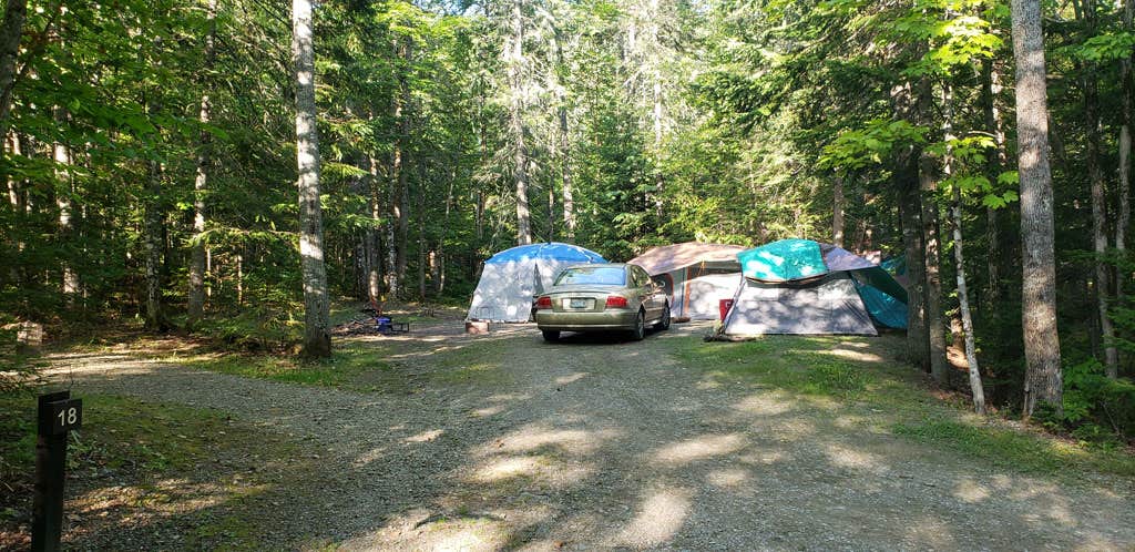 Jean C.'s photo at Aroostook State Park Campground near Houlton, ME