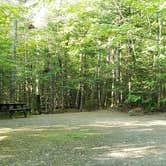 Review photo of Aroostook State Park Campground by Jean C., August 1, 2020