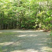 Review photo of Aroostook State Park Campground by Jean C., August 1, 2020