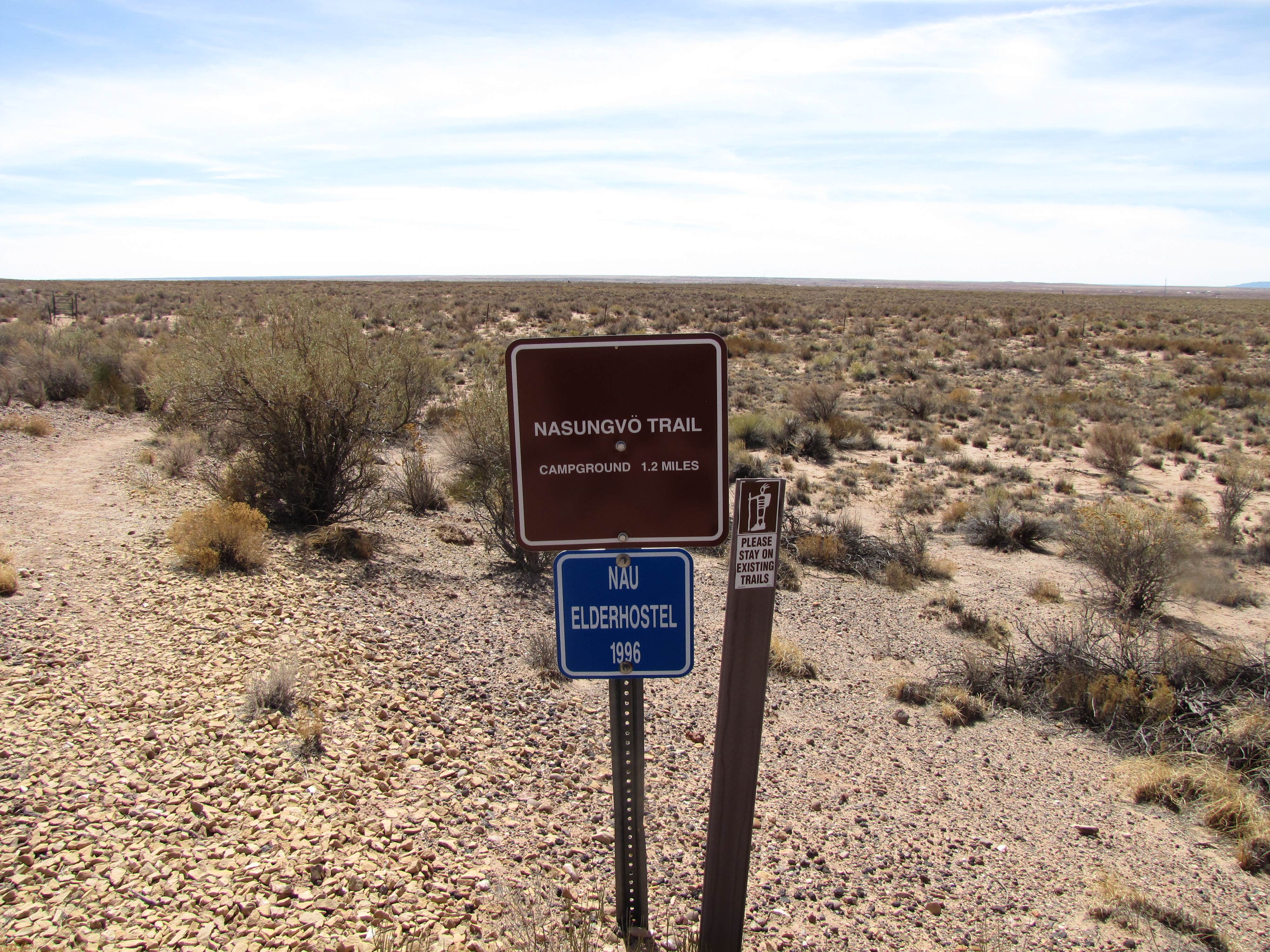 Camper submitted image from Homolovi State Park Campground - 5