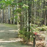 Review photo of Aroostook State Park Campground by Jean C., August 1, 2020