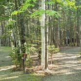 Review photo of Aroostook State Park Campground by Jean C., August 1, 2020