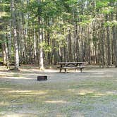 Review photo of Aroostook State Park Campground by Jean C., August 1, 2020