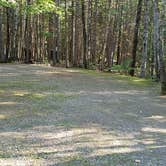 Review photo of Aroostook State Park Campground by Jean C., August 1, 2020