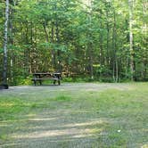 Review photo of Aroostook State Park Campground by Jean C., August 1, 2020