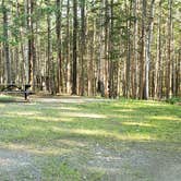 Review photo of Aroostook State Park Campground by Jean C., August 1, 2020