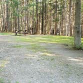 Review photo of Aroostook State Park Campground by Jean C., August 1, 2020