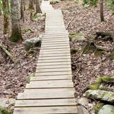 Review photo of Aroostook State Park Campground by Jean C., August 1, 2020