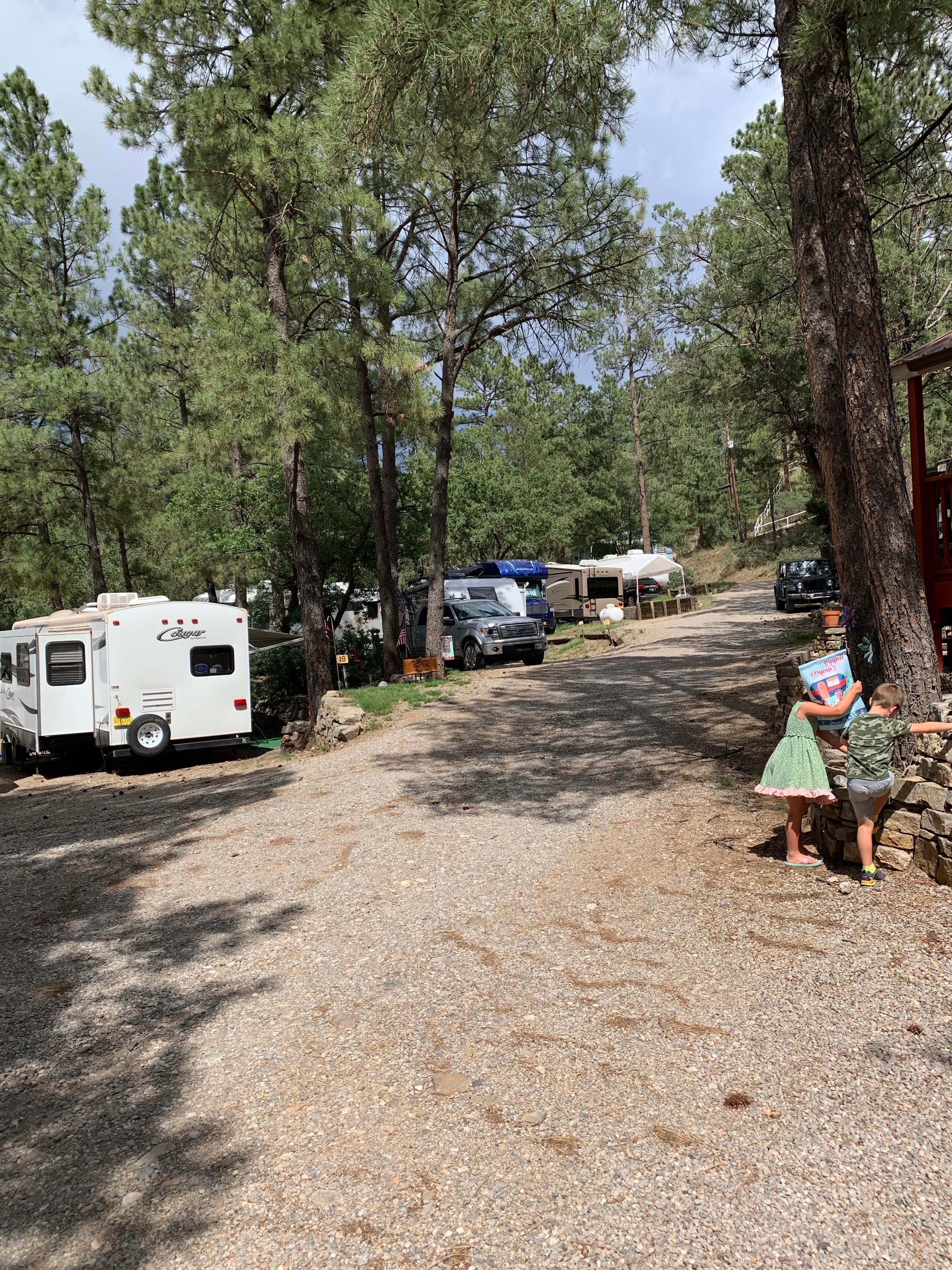 Camper-submitted photo at Pine Ridge RV Campground near Ruidoso, NM