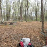 Review photo of South Bass Island State Park Campground by Daniel & Heather U., November 26, 2019