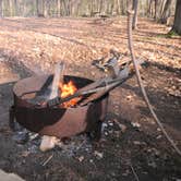 Review photo of South Bass Island State Park Campground by Daniel & Heather U., November 26, 2019