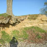 Review photo of South Bass Island State Park Campground by Daniel & Heather U., November 26, 2019