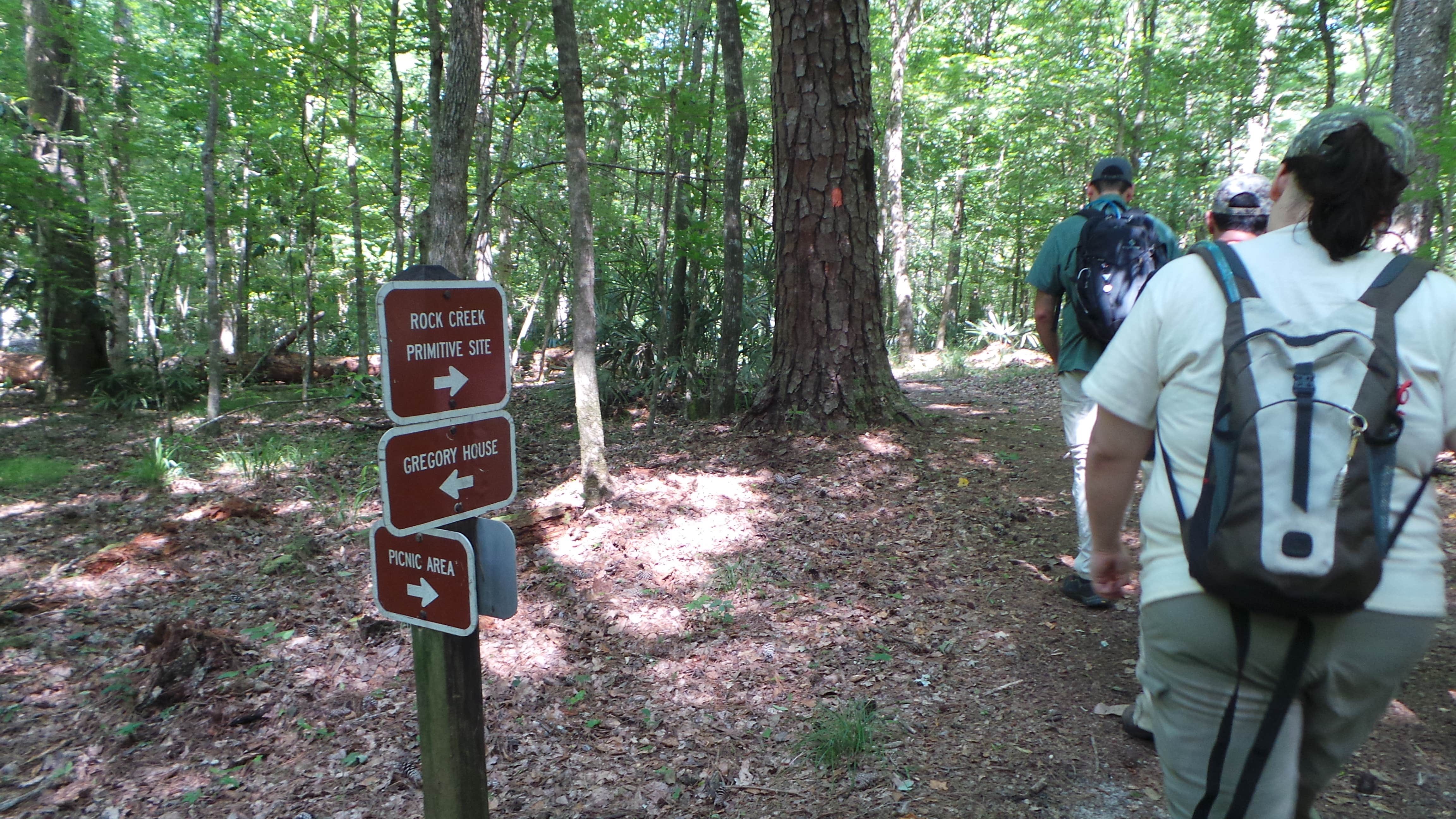 Camper submitted image from Torreya State Park Campground - 5